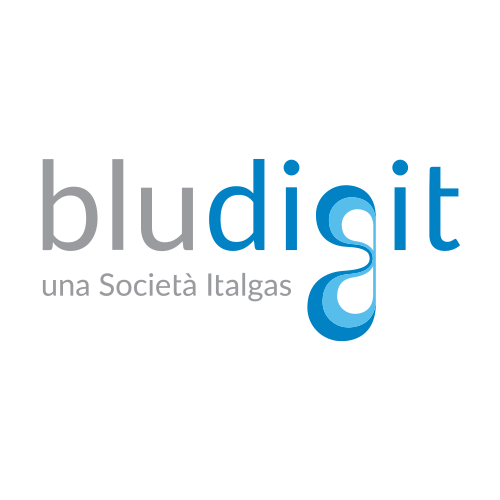 bludigit